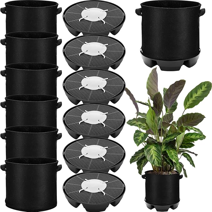 Jingmore 6 Set 3 Gallon Grow Bag Self Watering Fabric Pot Base Automatic Watering System Plant Nonwoven Grow Bag Handle Plant Saucer Elevate Flower Tray for Garden Indoor Outdoor Greenhouse (Black)