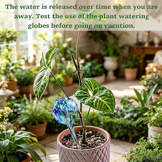 Plant Watering Globes - 6 Pack Colorful Glass Self Watering Bulbs for Plants, Automatic Plant Watering Devices for Indoor & Outdoor Use