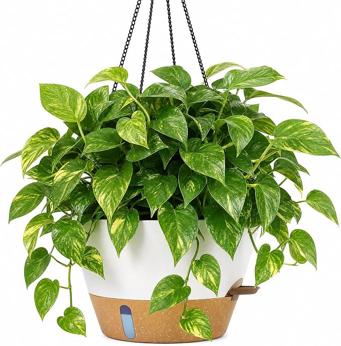 ZMTECH 12 Inch Hanging Planters for Indoor Plants, Modern White Self Watering Hanging Planter with Visible Water Level Window & Chain, Large Flower Pots for Outdoor Patio Decor