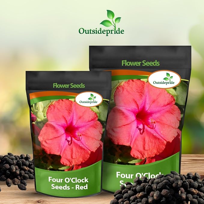 Outsidepride Red Four O'clock Flower Seeds - 1/4 lb Perennial Fragrant, Trumpet-Shaped Blooms, Deer-Proof & Easy to Grow, for Pollinator & Evening Gardens, Containers, Hedges, or Borders