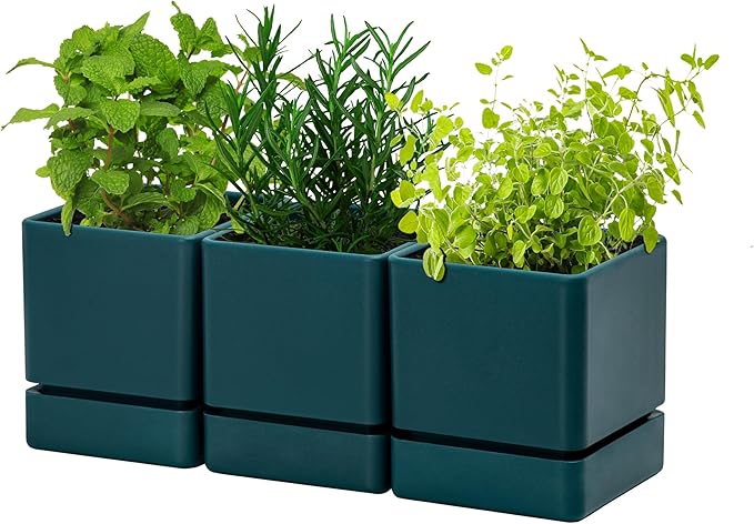D'vine Dev 4 Inch Herb Planter Pot, Plastic Planter with Drainage Holes and Saucer, Modern Decorative Gardening Pot for Indoor Plants, Flowers, Herbs, Succulents, Green, Set of 3, 76-Y-C-3
