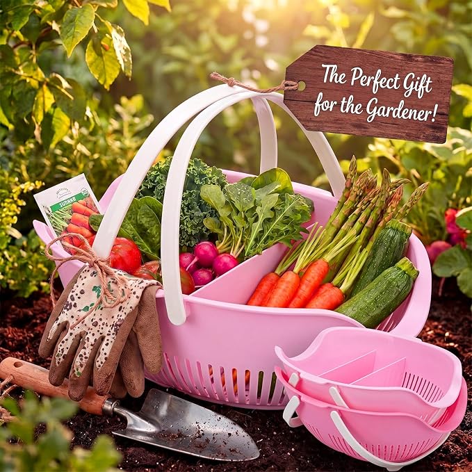 Nuogo 3 Pcs Garden Harvest Basket Removable Partitions with Tool Caddy for Collecting Carrying and Cleaning Harvesting Basket Doubles Colander for Vegetables and Fruits Garden Accessories (Pink)