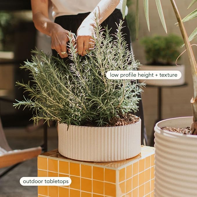 Veradek Mod Series 5" Bowl Planter for Indoor or Outdoor Tabletop/Balcony | Durable Plastic-Stone Composite Material | Modern Décor for Flowers, Succulents, Small Plants