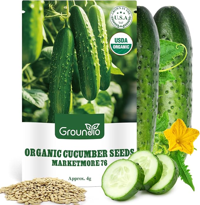Groundio Marketmore Cucumber Seeds | Organic Heirloom Non-GMO | High Germination | Hardy Slicing Cucumbers for Trellis & Raised Beds (Cucumis sativus)