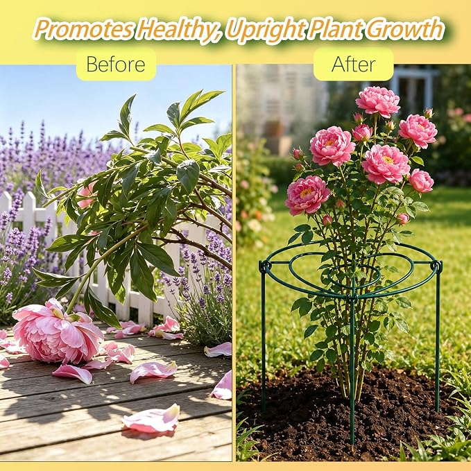 (6 Sets) Peony Cages and Supports, 12" Diameter, 4 x 16 Inches Legs, Heavy Duty Rust-Proof Grow Through Plant Support for Outdoor Flower Plants, Metal Grid Ring Hoop for Peonies, Roses, Orchids