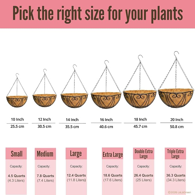 LaLaGreen Hanging Baskets for Plants (16 Inch, 6 Pack) Extra Large Hanging Flower Pot with Coco Liner Black Metal Wire Round Plant Holder with Hanger Hook Chain Outdoor Patio Deck Balcony Garden Decor