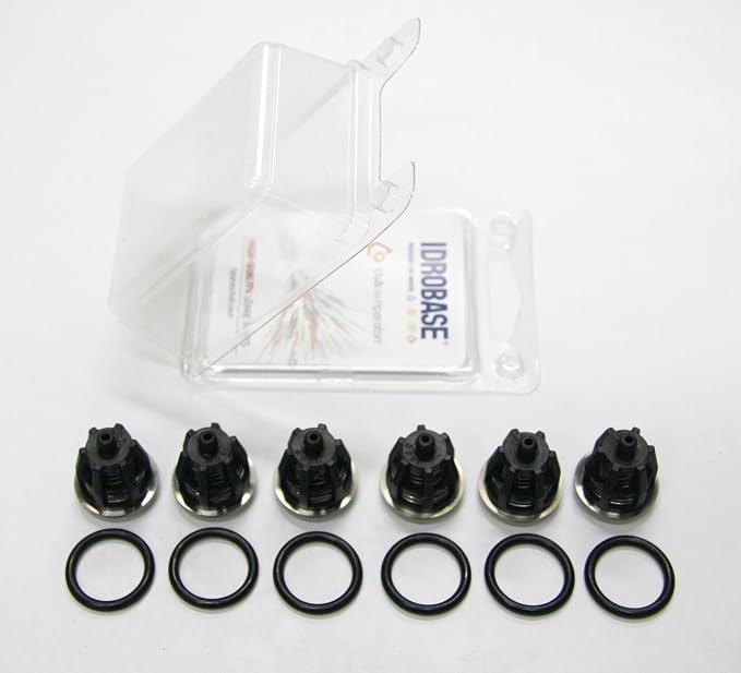 General Pump and Interpump Repair Kit 1 (Valves + O-rings)