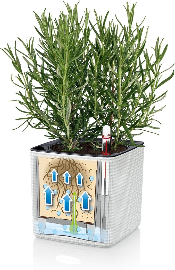 Lechuza 13384 Cube Color 14 Self-Watering Planter for Indoor and Outdoor Use, 6" x 6" x5", Slate