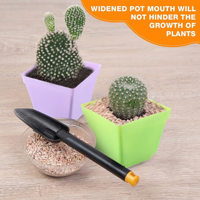 Amyhill 100 Pcs 4 Inch Flower Pots Square Plants Nursery Pot Plastic Plant Seedling Pots Small Nursery Transplanting Planter Container with Saucer for Indoor Succulent Balcony Garden (Classic Color)