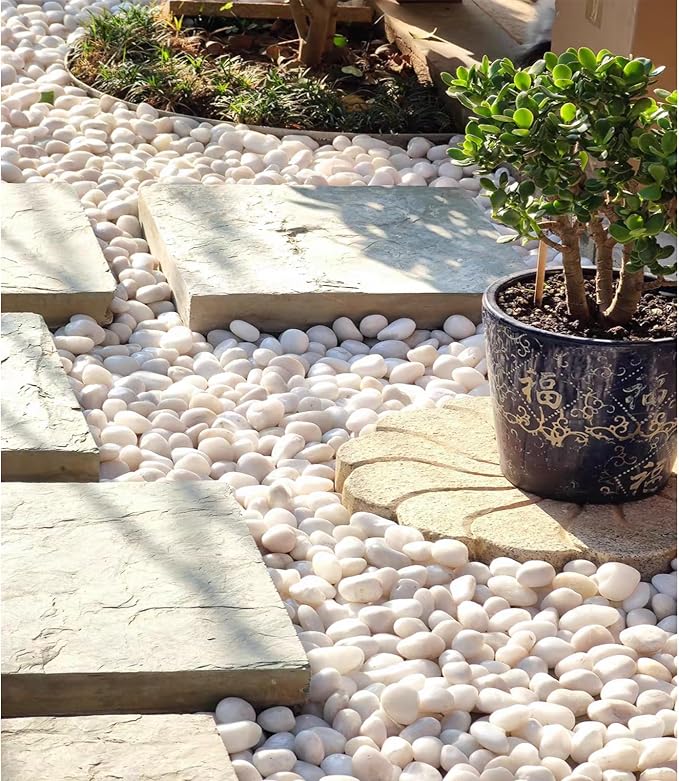 FANTIAN 5 lbs White Pebbles for Indoor Plants, 1-2 Inch Small White River Rocks for Plants, Decorative Polished Stones for Landscaping Vase and Outdoor Garden