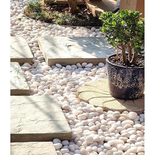 FANTIAN 5 lbs Large White River Rocks, 2-3 inch Pebbles for Indoor Plants, Polished Decorative Stones for Planters Vase Aquarium and Outdoor Garden Landscaping Rocks