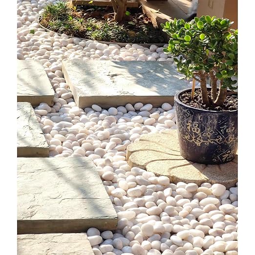 FANTIAN 20 lbs White Pebbles for Indoor Plants, 0.8-1.2 inch Small River Rocks for Plants. Decorative White Stones for Planters Vase Fish Tank and Outdoor Garden Landscaping Rocks