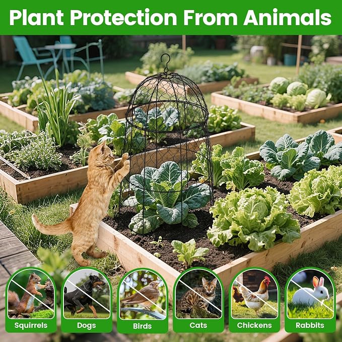 Chicken Plant Protector 10 Pcs, 20×12.6in Cage for Large Plants, Split Design and Anti-Rust Coated Metal Plant Cover for Outdoor Plants, Wire Mesh Covers for Plants