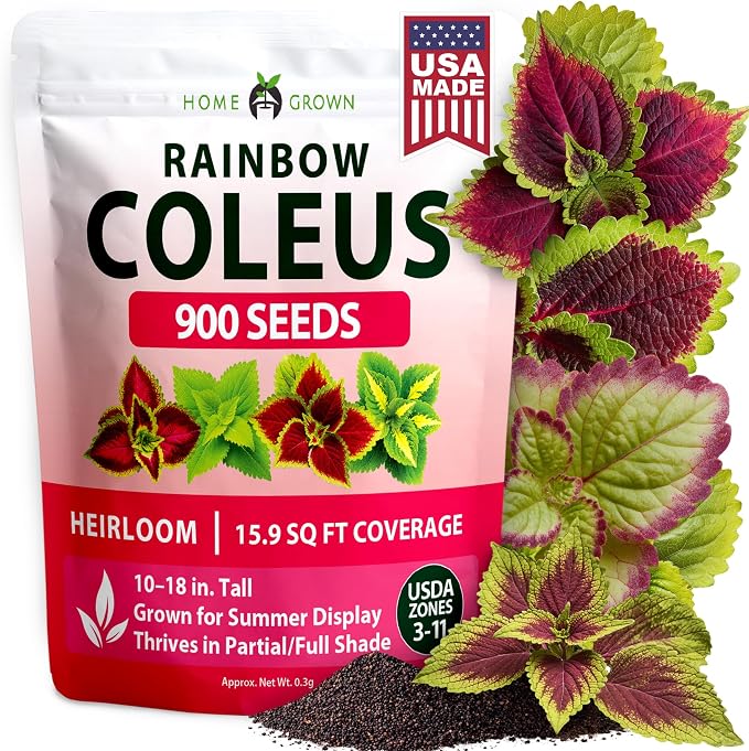 HOME GROWN Coleus Seeds for Planting – 900 Rainbow Coleus Plant Seeds, Multicolor Spring 2026 Flower Seed Annual/Perennial House Plants for Garden Outdoors & Indoors (Plectranthus scutellarioides)