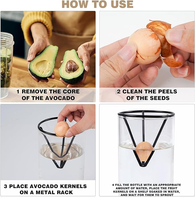 Bylion 2 Pack Avocado Tree Growing Kits - Avocado Growing Vase - Avocado Seed Starter Vase Glass Plant Pot Easy Seed Sprout Starter Gift for Women Gardening Lovers Home Office (Black)