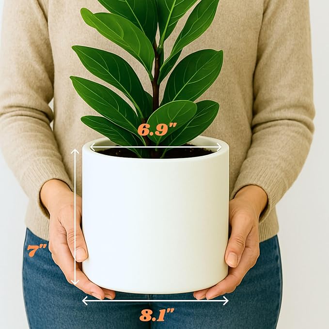 Fox & Fern Large Indoor Planter, Modern Large Plant Pot for Indoor or Outdoor, UV and Frost Resistant - 8 Inch, Fiberstone, Matte White Flower Pot with Drainage Plug, Lightweight