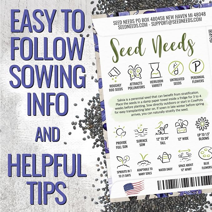 Seed Needs Sapphire Sage Seeds to Plant Blue Salvia Flowers 2 Packs