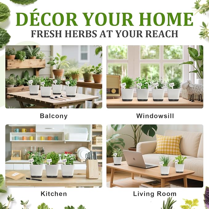 Indoor Herb Garden Starter Kit, 10 Non-GMO Herb Seeds for Basil, Parsley, Thyme, Mint, Cilantro, Dill, Oregano, Chives, Sage, Mustard Including 10 White Pots, Nutritional Soil, Ideal Xmas Gift