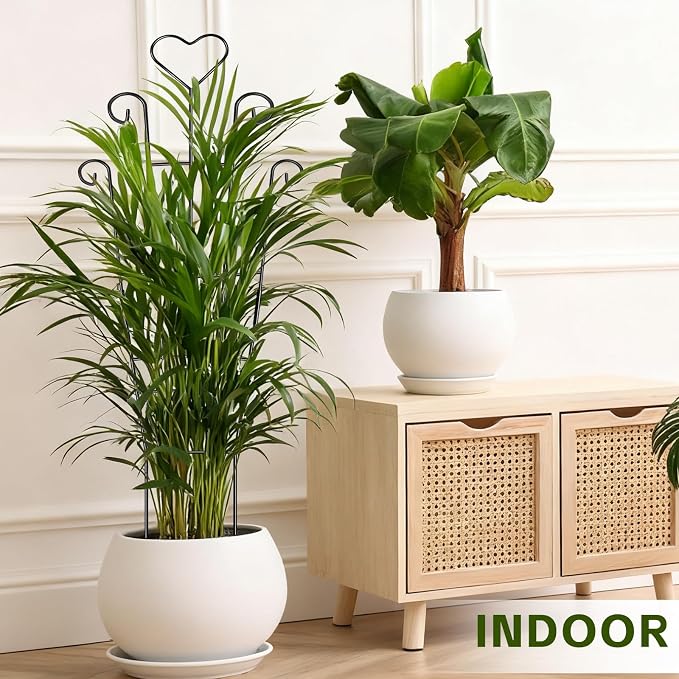 Trellis for Climbing Plants Indoor, 4 Pack 31'' Metal Plant Trellis Indoor for Potted Plants, Sturdy Plant Support Outdoor for Ivy Pothos Monstera Hoya Flower Vine, Heart Shape