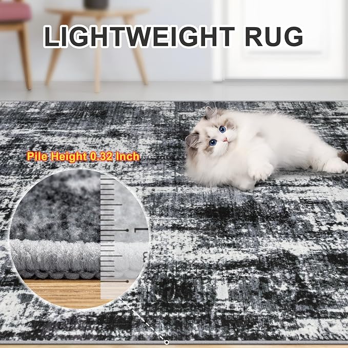 PLHXFR 9x12 Area Rug Living Room: Modern Abstract Washable Carpet Black | For Bedroom Dining Room Farmhouse Nursery Home,Machine washable,Non Slip,Large Soft Neutral,Stain Resistant, Indoor Floor