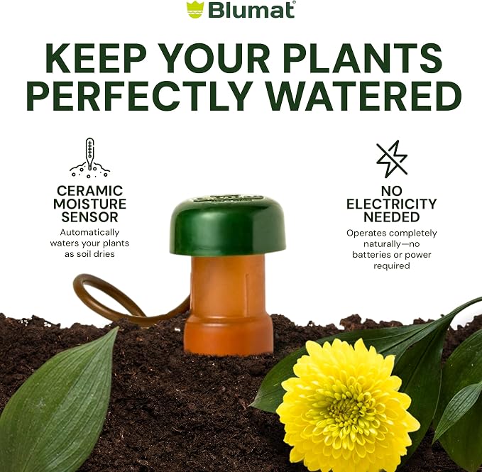Blumat Classic Self-Watering Stakes - Prevents Overwatering and Underwatering for Healthy Growth While You are Away - Ideal for Indoor Plant Watering, 3 Pack, w Adapter