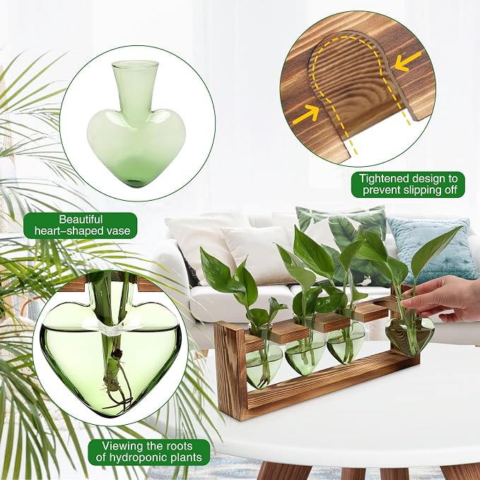 Plant Propagation Stations Heart Plant Terrarium Kit | Gift for Women Plant Lover Glass Vases