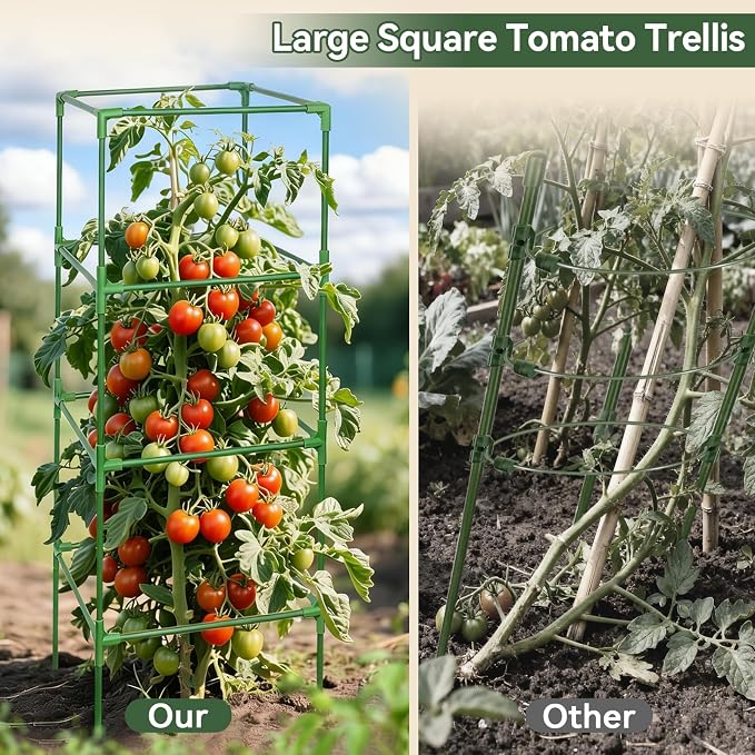 Halatool 2 Pack 60 Inches Square Tomato Cages for Garden, Heavy Duty Adjustable Metal Tomato Trellis for Climbing Plants – Green Plant Support Stakes for Vegetables Flowers Fruits & Raised Bed Outdoor