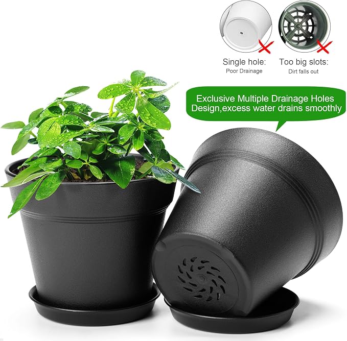 10 Pack Plastic Plant Pots with Drainage Holes and Tray, 6 inch Thickened Indoor Planters Seedlings Nursery Pots for Flowers, African Violet, Succulent and All House Plants, Black