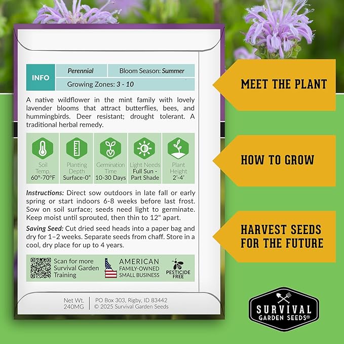 Bee Balm Seeds for Planting - Wild Bergamot Survival Garden Seeds (1 Pack) | Monarda Fistulosa - Perennial Native Wildflower & Medicinal Herb for Pollinator Gardens, Fragrant Flowers