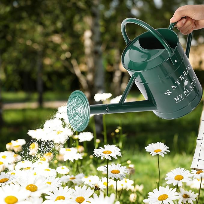 Garutom Galvanized Watering Can for Outdoor Indoor Plants, 1 Gallon Decorative Countryside Water Can with Removable Spout, Metal Watering Can for Indoor Plants and Garden Flower (Green)