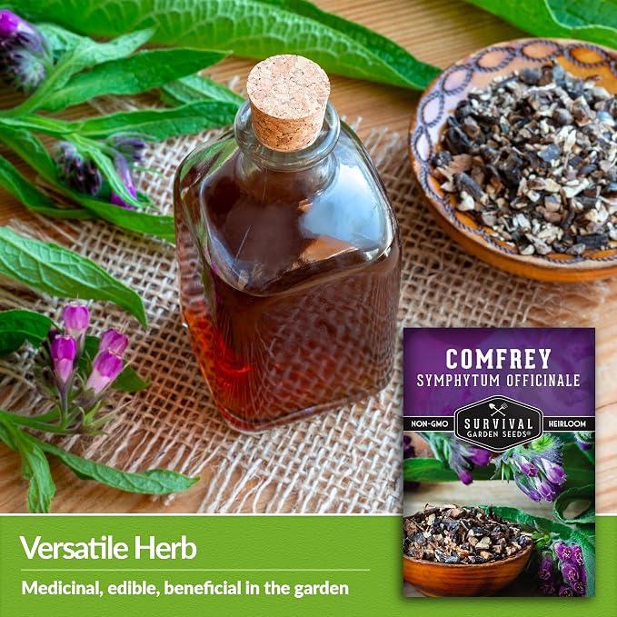 Comfrey Seeds for Planting - Symphytum Officinale Medicinal Perennial Herb for Compost Tea & Natural Skincare - True Slippery Root Non-GMO Heirloom - Survival Garden Seeds (2 Pack)