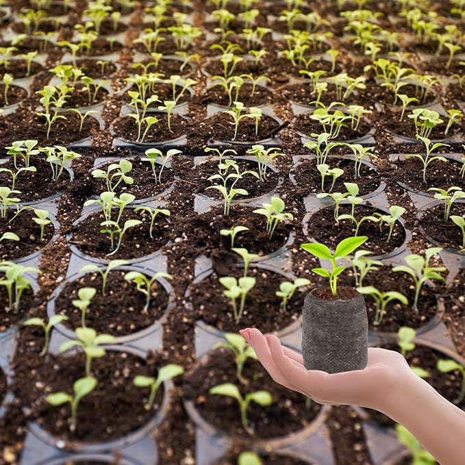 ZeeDix 200 Pcs (30mm) Peat Pellet Fiber Soil Plant Seed Starters- Seed Starter Pellets Pods Compressed Peat Pellets for Grow Herbs, Plant, Flowers, Vegetables, Seed Pods for Planting Easy Transplant