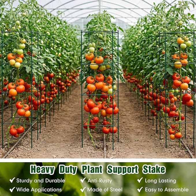 Hicarer 16 Pack Square Tomato Cage Heavy Duty Tomato Cages for Garden Vegetable Plant Trellis Stakes Plant Support Stake Tower for Climbing Vegetables Plants Flowers Fruit (11.5 x 46 Inches,Green)