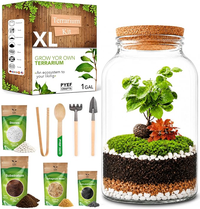 Terrarium Kit for Plants DIY (1 Gallon) | Starter Pack – Closed Ecosystem – 1 Gal Glass – Succulents, Air Plants, Bonsai, Indoor Plants – (Plants Not Included)