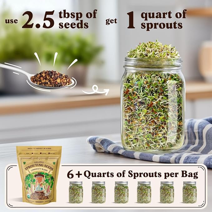 Seedboy Organic Non-GMO Sprouting Seeds, Longevity Blend - USA Grown Microgreens Mix with Broccoli, Red Kale, Black Kale, Alfalfa - 8 oz Bag Makes 8 Quarts / 32 Servings (Longevity Blend)