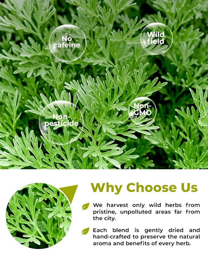 4 oz. Wormwood Tea Wormwood Herb Dried Herb Tea (Artemisia Absinthium) - 113g Dry Wood Worm Artemisiae Absinthii Herba Artemisa Ajenjo Hierba