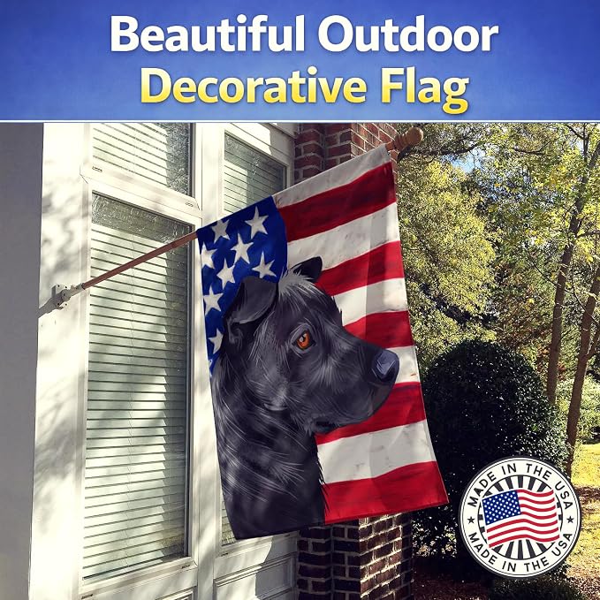 Caroline's Treasures CK6644CHF Phu Quoc Ridgeback Dog American Flag House Flag Large Porch Sleeve Pole Decorative Outside Yard Banner Artwork Wall Hanging, Polyester, House Size, Multicolor