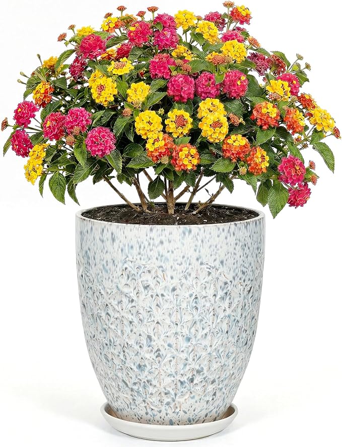 9.5 Inch Flower Pots for Indoor Plants,Ceramic Planter with Saucer Drainage Leak-Proof Mesh Gardening Gloves (Spotted Blue)