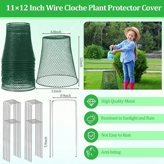 Therwen 15 Pcs Large Plant Wire Cloche 11 x 12 Inch Metal Garden Cloche with Garden Stakes Plant Protector from Animals for Keeping Bunnies Chicken Squirrels Birds (Green)