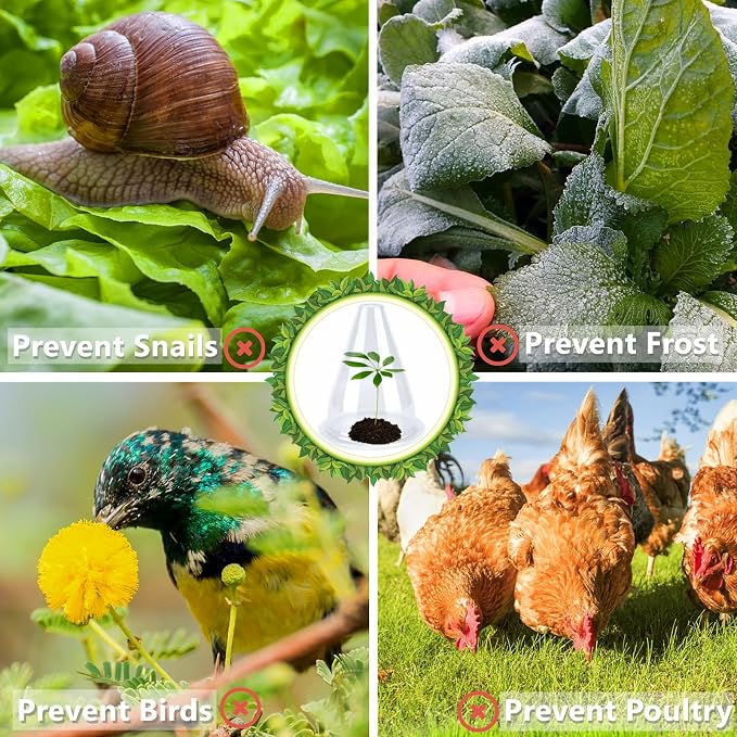【24 Pieces】 Garden Cloches for Plants, Plant Cover Plant Protectors Transparent Bell Jar Cloches Protection Plants from Birds, Slugs, Frost, Freeze Weather, 7.8" D x 9.4" H, Transparent