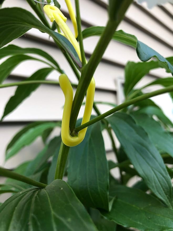 Plant Yoyo Hangers - 50 Pack - 2 Hooks - Plant Support for Stems & Branches with Heavy Buds, Colas, Flowers, Fruits & Vegetables - Great for Grow Tent, Grow Room, and Garden