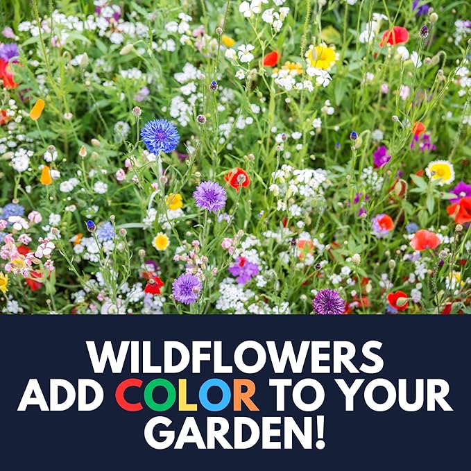 Deer Resistant Wildflower Seeds (2oz) Hardy Garden Flowers Designed to Deter Deer & Support Pollinators
