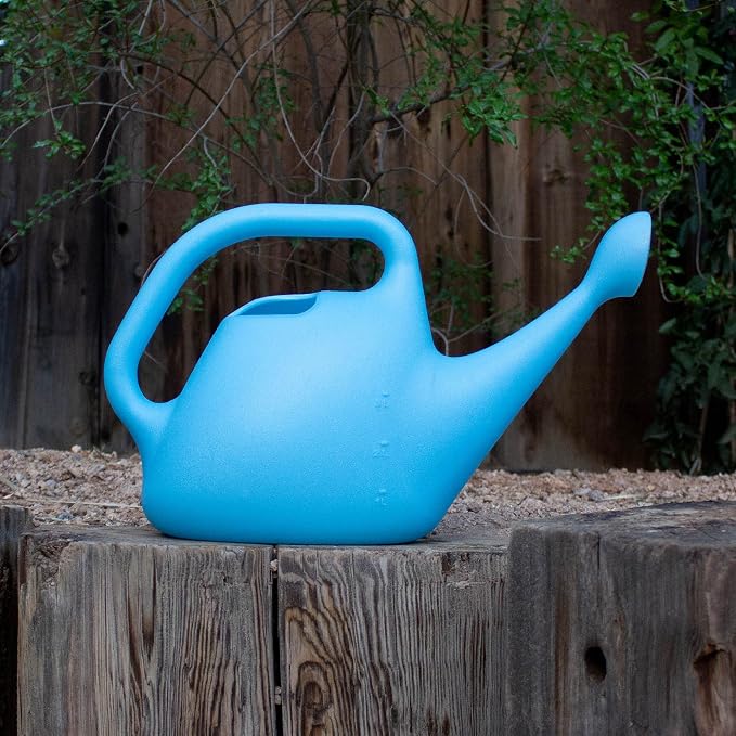 Bloem Translucent Watering Can: 1 Gallon Capacity - Bluebonnet - Easy to See Water Level, Loop Handle, Durable Resin, for Indoor and Outdoor Use, Gardening