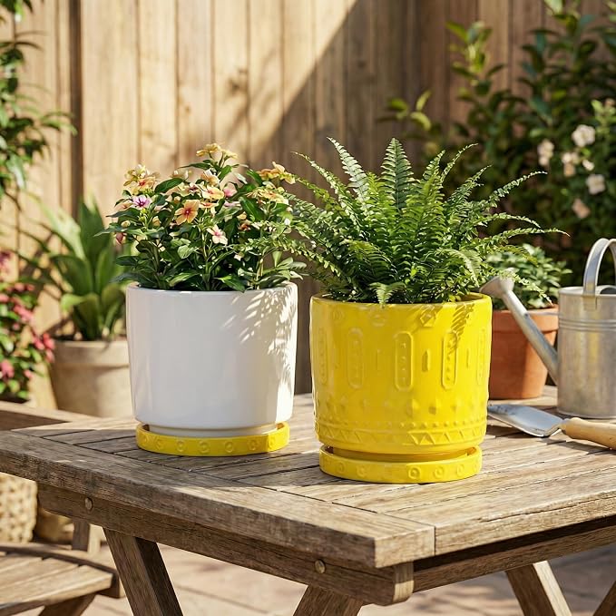 Eightpot Plant Trays for Pots, 2 Pack Ceramic Plant Saucers for Indoors Outdoors, 5.6 Inch Plant Plates to Catch Water, Boho Plants Drainage Tray, Decorative Plants Dishes to Catch Water, Yellow