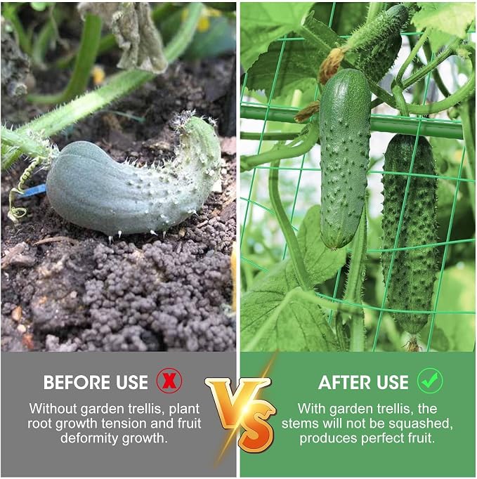 2PCS Cucumber Trellis for Climbing Plants Outdoor, Garden Trellis for Raised Bed Garden,Vegetable Grow Supports with Climbing Net for Tomato Bean Squash, Grape Zucchini (2PCS)