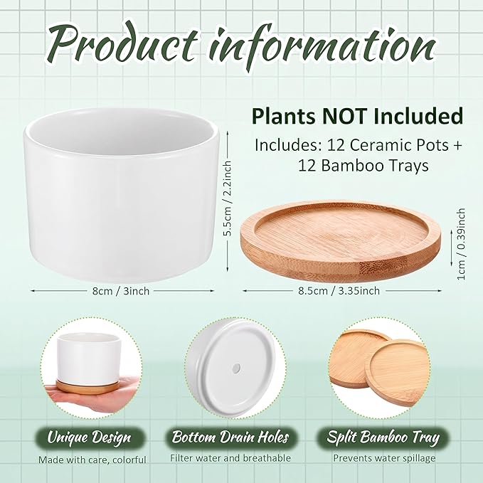 Cindeer 12 Sets Succulent Plant Pot Ceramic Succulent Pots Container Cactus Pots with Bamboo Tray Small Cylinder Flower Plant Pot with Bamboo Saucers for Plants Indoor Outdoor(White,3 x 2.17 Inch)