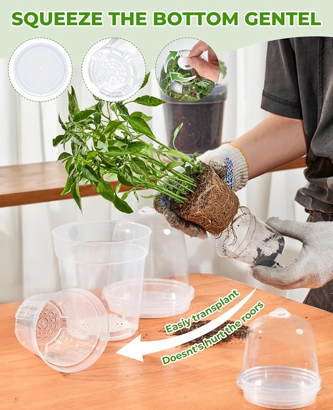 homenote 5 Inch Clear Nursery Pots 20 Pack with Humidity Domes&Plant Saucers–Rigid Plastic Nursery Pots with Drainage,Transparent Flower Pots for Seedlings,360° Rotary Vent,Indoor Outdoor Garden