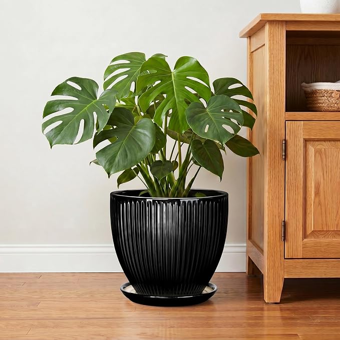 10 Inch Planter, Ceramic Plant Pots with Drainage Hole and Saucer, Large Decorative Planters for Indoor Plants, Modern Plant Pot, Round Flower Pot, House Bedroom Decor, Black