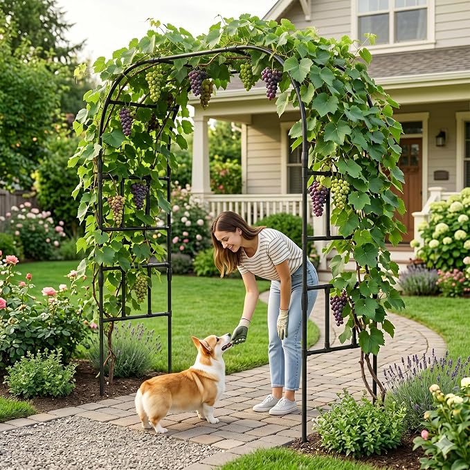 DoCred Garden Arch Trellis for Climbing Plants, 87 Inch Large Garden Trellises Outdoor Metal Plants Support Archway Arbor Tunnel Trellis for Vegetables Plant Decoration, Black