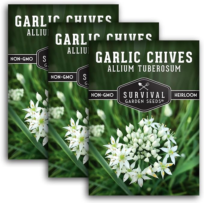 Garlic Chives Seeds for Planting - Heirloom Perennial Chinese Herb - Survival Garden Seeds (3 Packs)